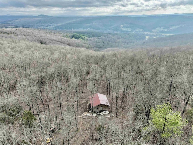 aerial view with a mountain view