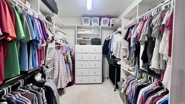 view of walk in closet