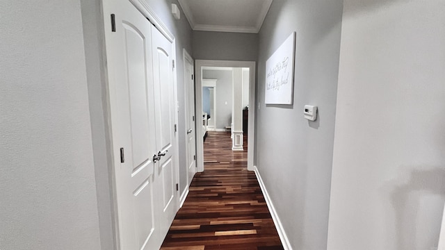 corridor featuring dark hardwood / wood-style flooring and ornamental molding