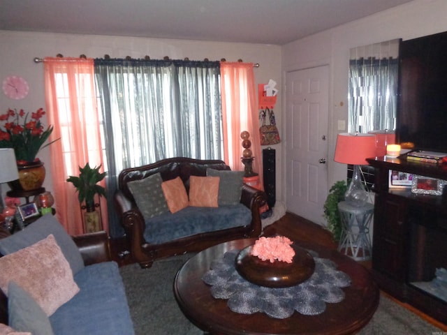 living room featuring plenty of natural light