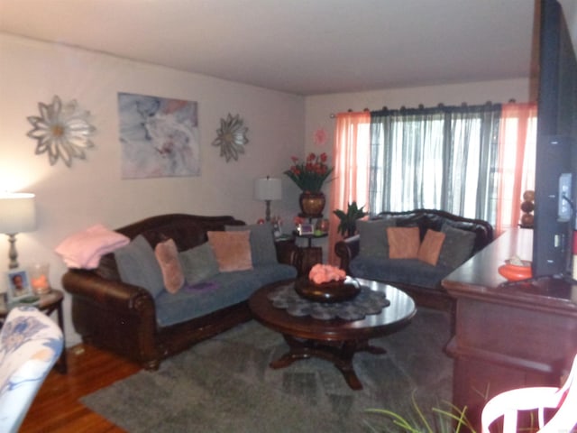 living room with hardwood / wood-style flooring