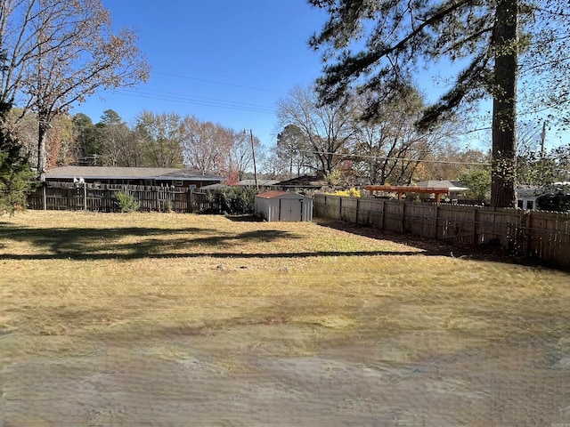 view of yard with a storage unit