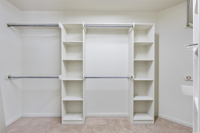 spacious closet featuring carpet flooring