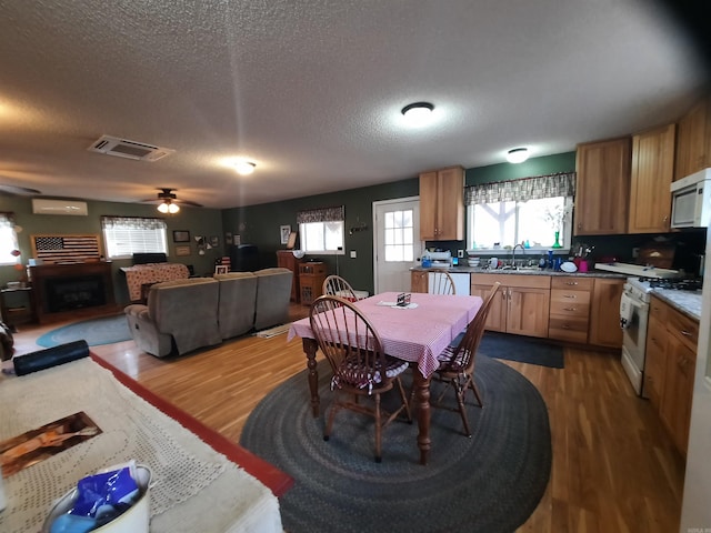 dining space featuring ceiling fan, sink, a textured ceiling, and hardwood / wood-style flooring