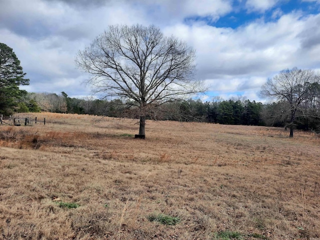 view of yard featuring a rural view