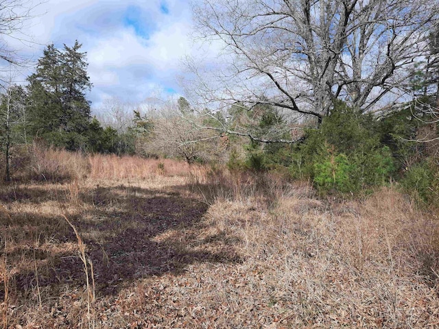 view of local wilderness