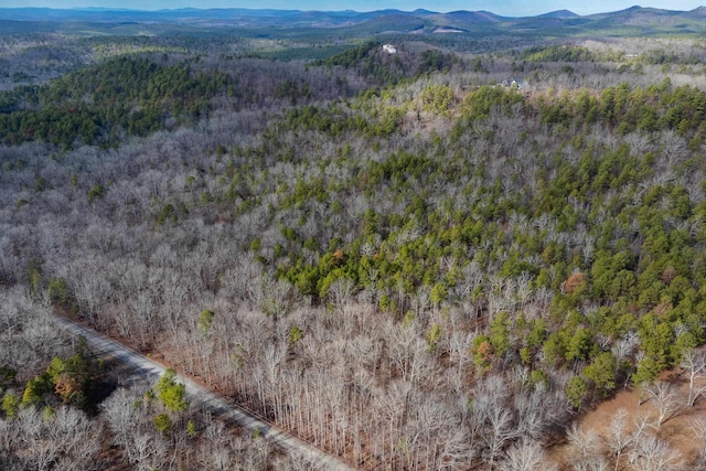 00 Horseshoe Mountain Rd, Paron AR, 72122 land for sale