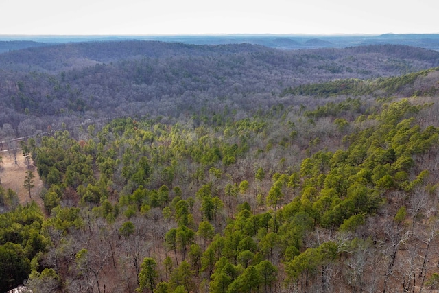 Listing photo 3 for 00 Horseshoe Mountain Rd, Paron AR 72122