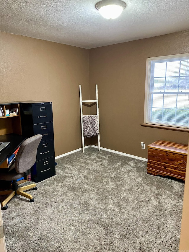 unfurnished office with carpet flooring and a textured ceiling