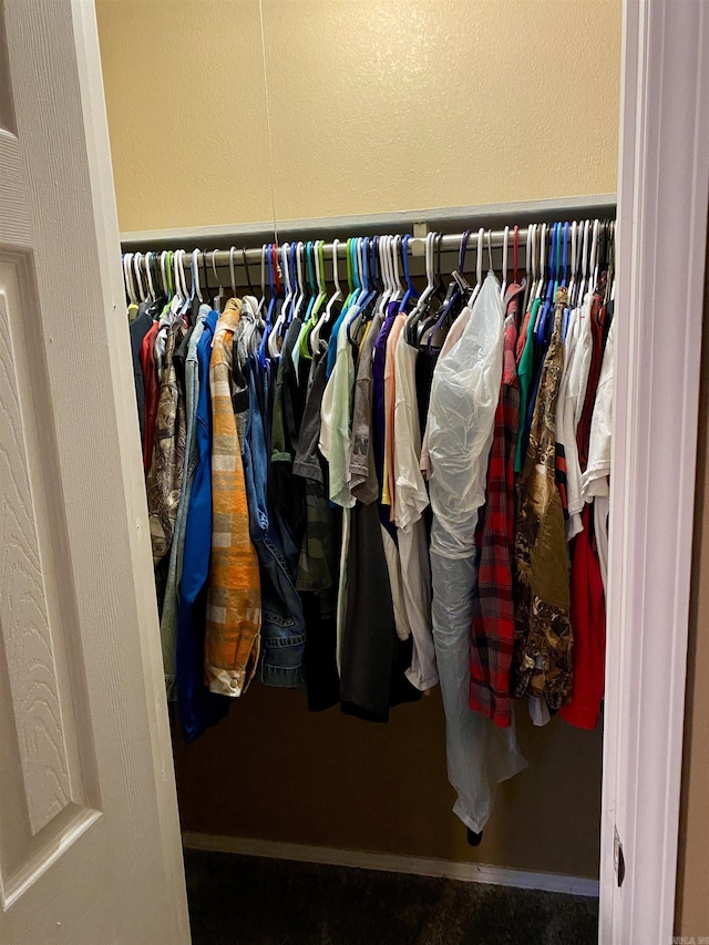 view of closet