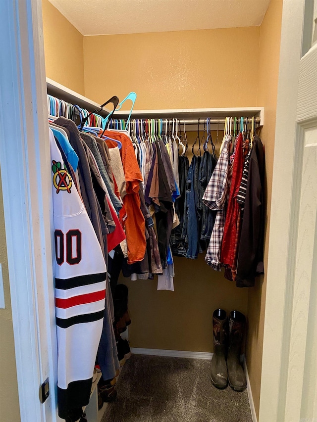 walk in closet with carpet