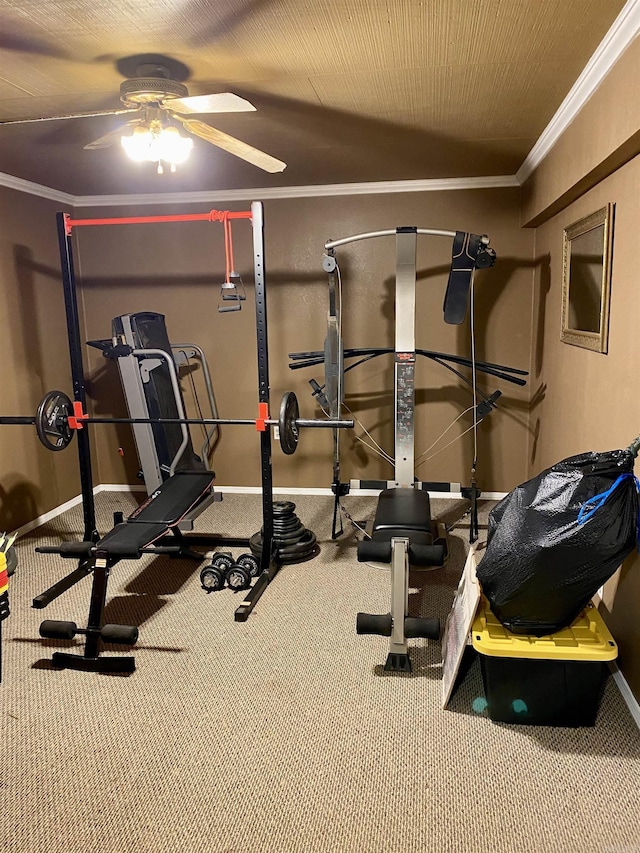 workout room featuring ceiling fan, ornamental molding, and carpet floors