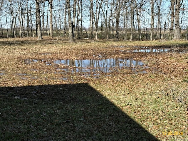 25 Fairview Dr, Mcgehee, AR 71654 - view of yard with a water view