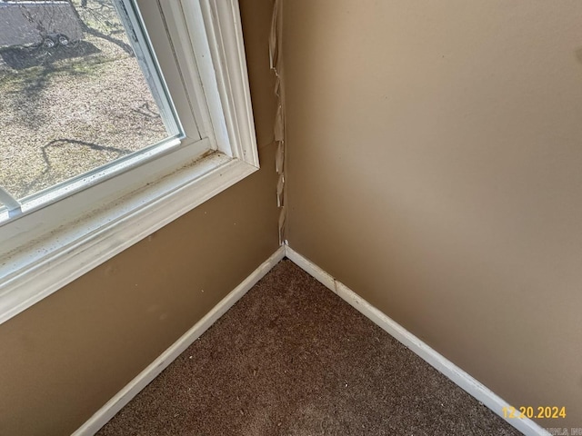 25 Fairview Dr, Mcgehee, AR 71654 - detailed view of carpet flooring and baseboards