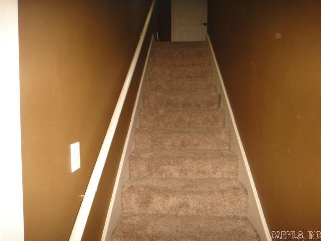 stairway featuring carpet