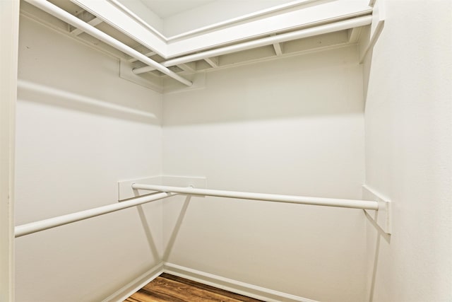 spacious closet with dark wood-type flooring