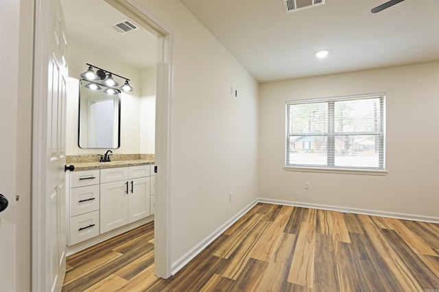 bathroom with hardwood / wood-style floors and vanity