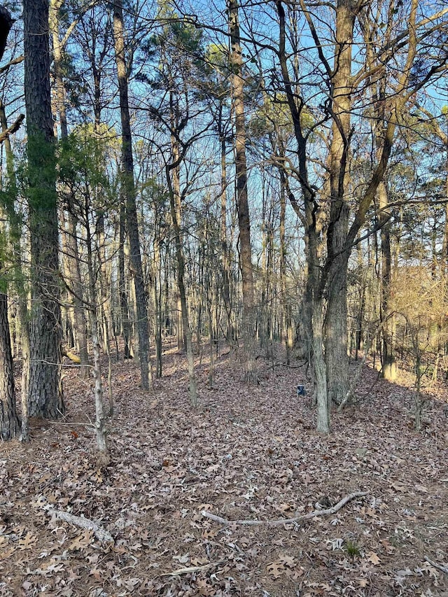 Listing photo 3 for LOT18 Ridgecrest Rd, Heber Springs AR 72543