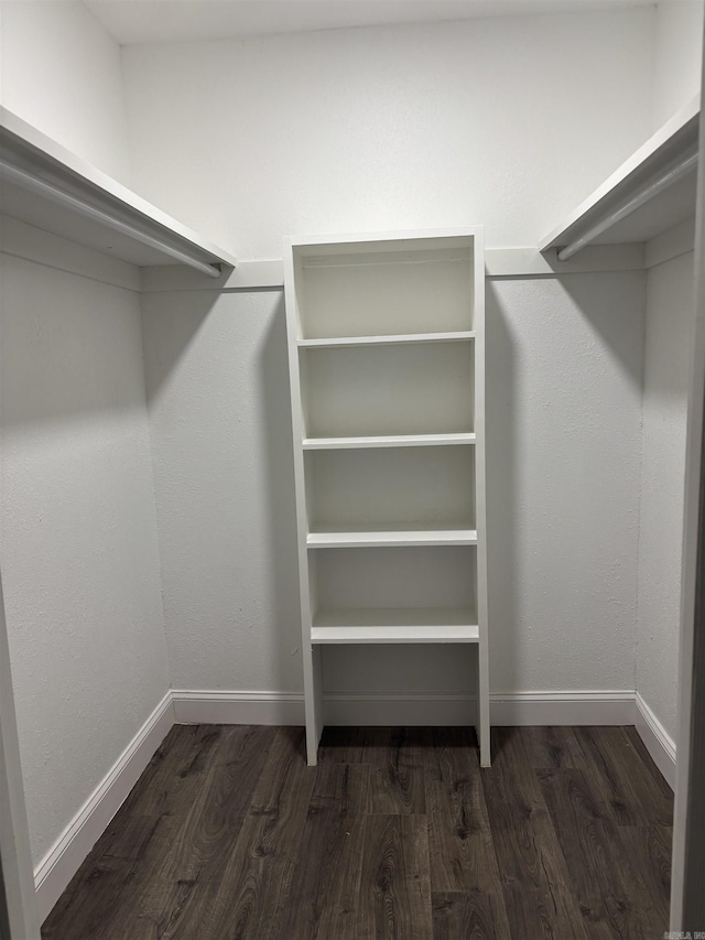 spacious closet with dark hardwood / wood-style flooring