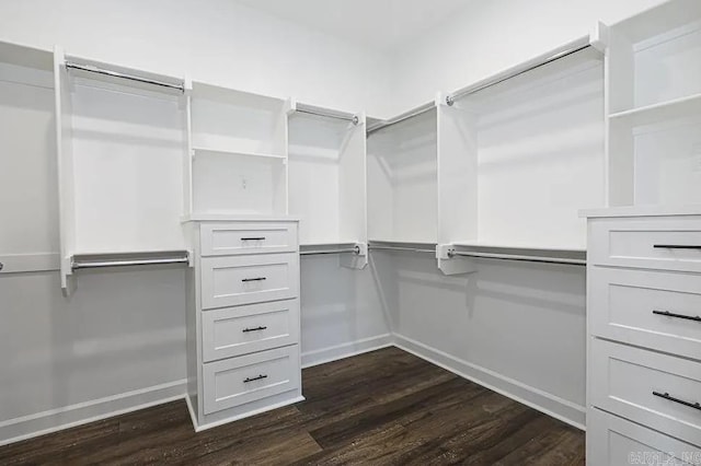 spacious closet with dark hardwood / wood-style flooring