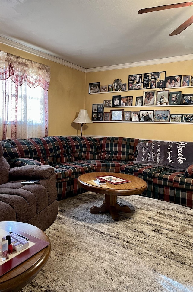 living room with crown molding and ceiling fan