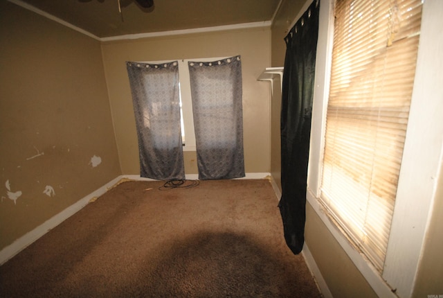 interior space featuring carpet flooring and ornamental molding