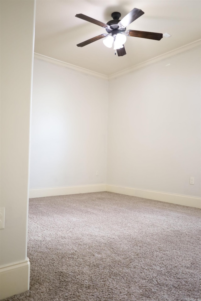 carpeted spare room with ceiling fan and ornamental molding