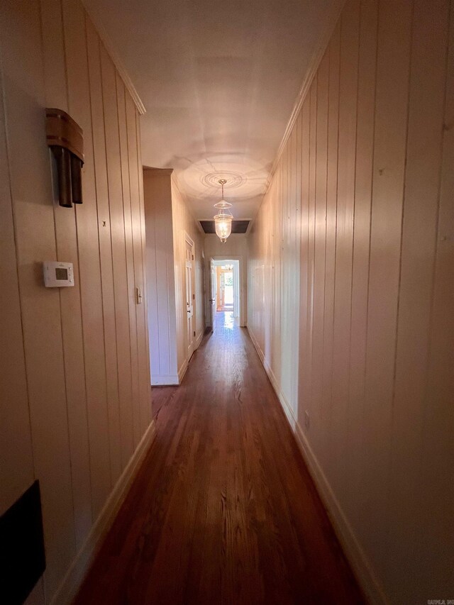 hallway featuring wood-type flooring, ornamental molding, and wooden walls