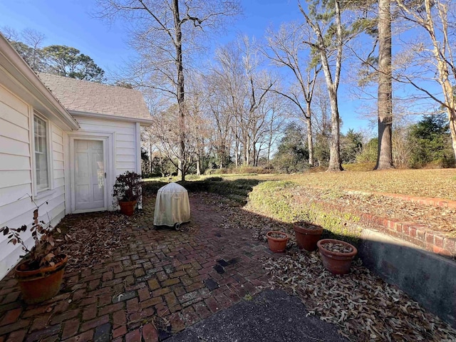 view of yard featuring a patio area