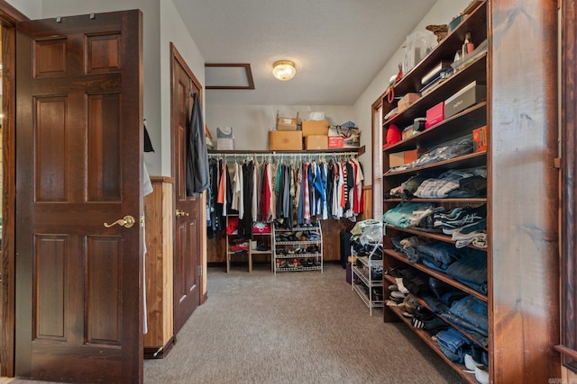 spacious closet with carpet