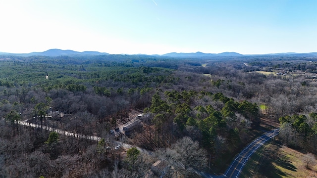 drone / aerial view featuring a mountain view