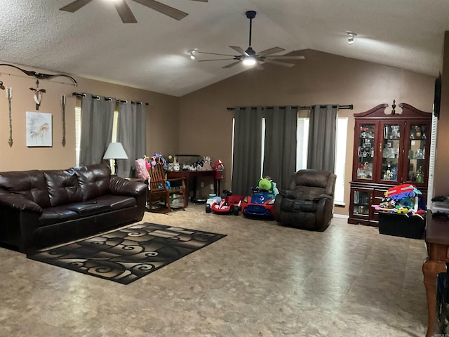 living room with carpet and vaulted ceiling