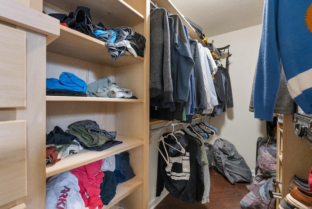 spacious closet with hardwood / wood-style floors