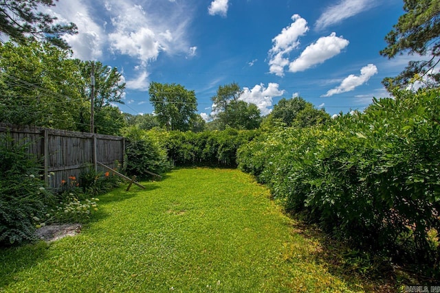 view of yard