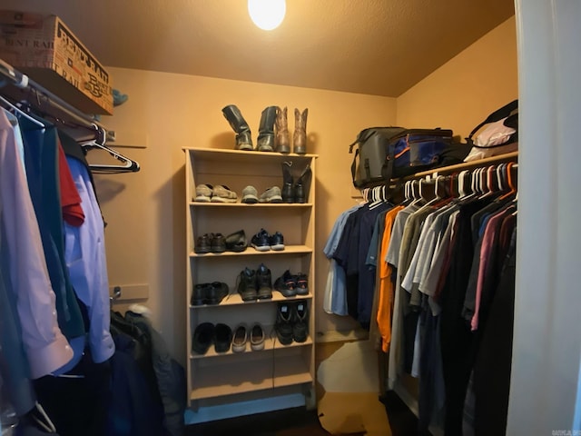 view of spacious closet