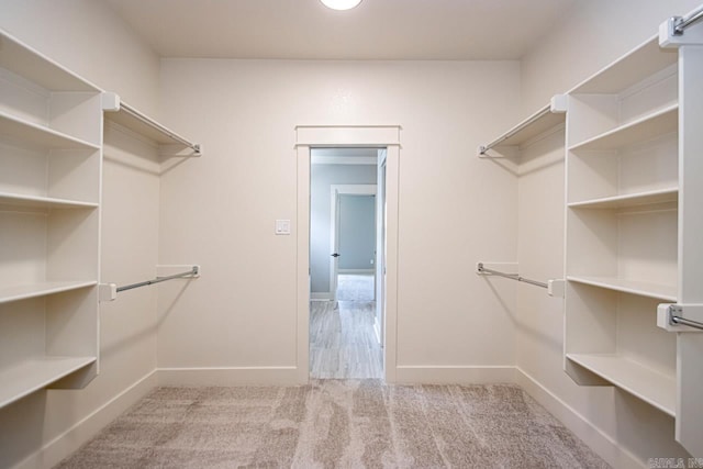 walk in closet featuring light carpet