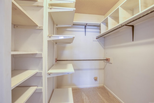 walk in closet with light carpet