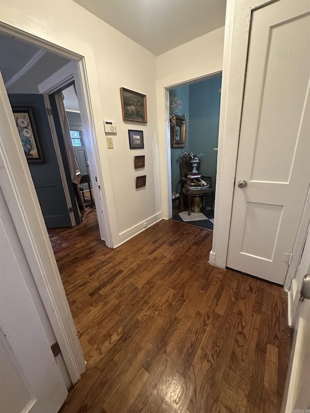 hallway featuring dark hardwood / wood-style floors