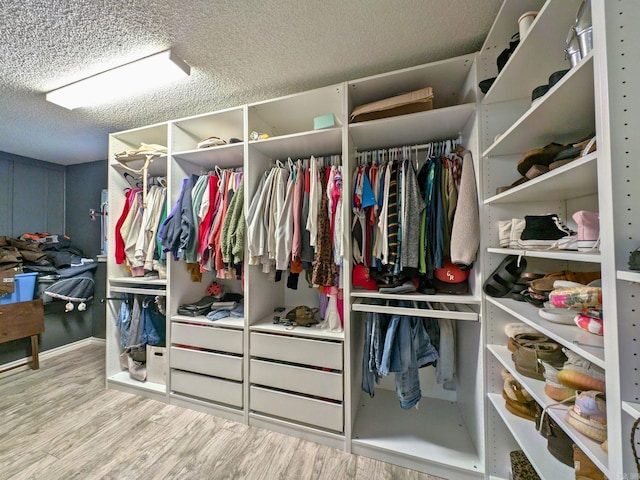 spacious closet with light wood-type flooring