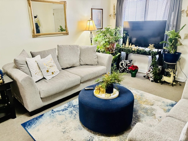 living room featuring carpet floors