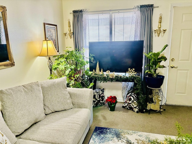 living room featuring carpet floors