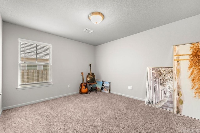 miscellaneous room featuring carpet flooring and a textured ceiling