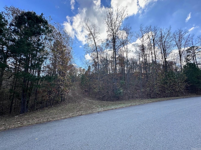 Listing photo 2 for LOT27 Broad Hawk Cir, Paron AR 72122