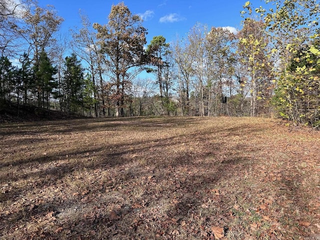 Listing photo 3 for LOT27 Broad Hawk Cir, Paron AR 72122