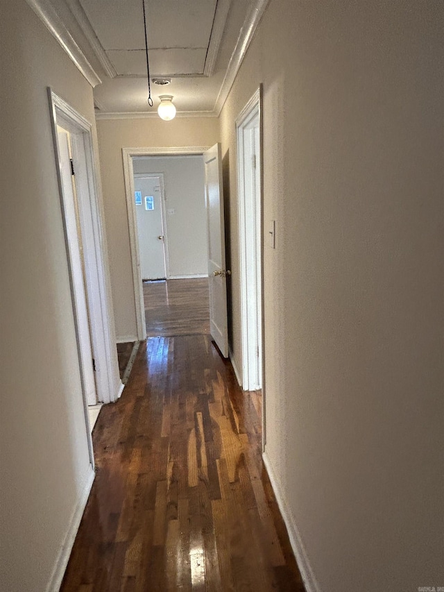 corridor featuring dark hardwood / wood-style floors and crown molding