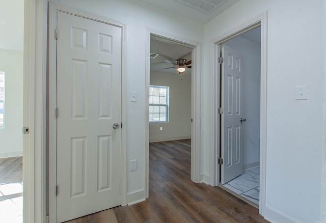 corridor featuring dark hardwood / wood-style floors