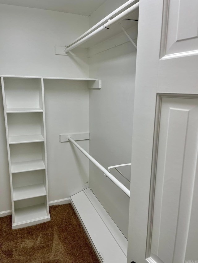 walk in closet featuring dark colored carpet