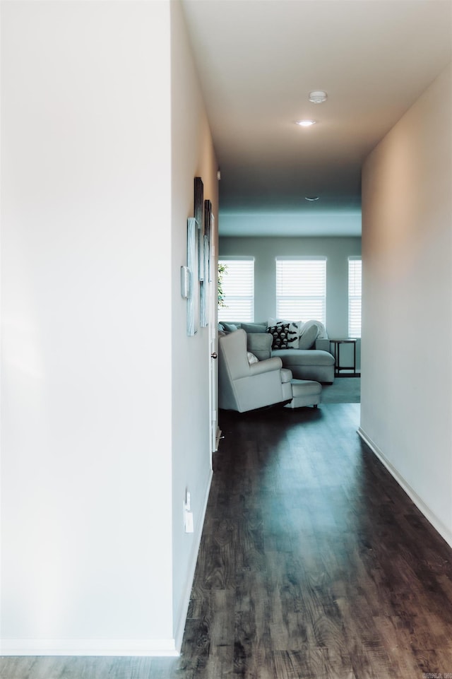 corridor featuring plenty of natural light and dark wood-type flooring