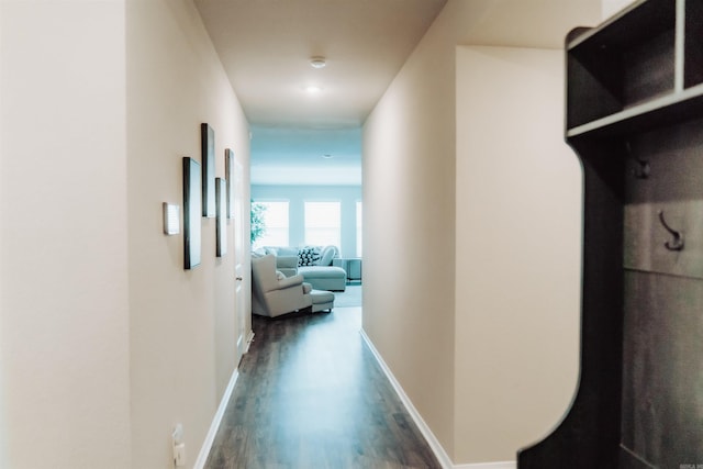 hallway with dark wood-type flooring