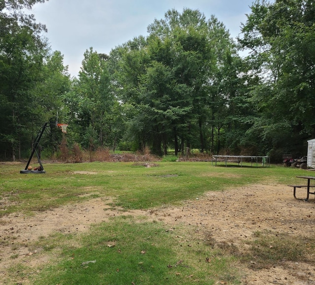 view of yard featuring a trampoline